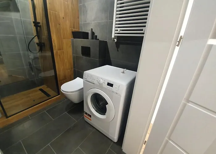 Apartment Premium Apartaments-chociszewskiego 6 C Leszno (Greater Poland)