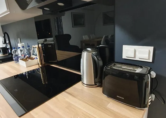 Apartment Premium Apartaments-chociszewskiego 6 C Leszno (Greater Poland)