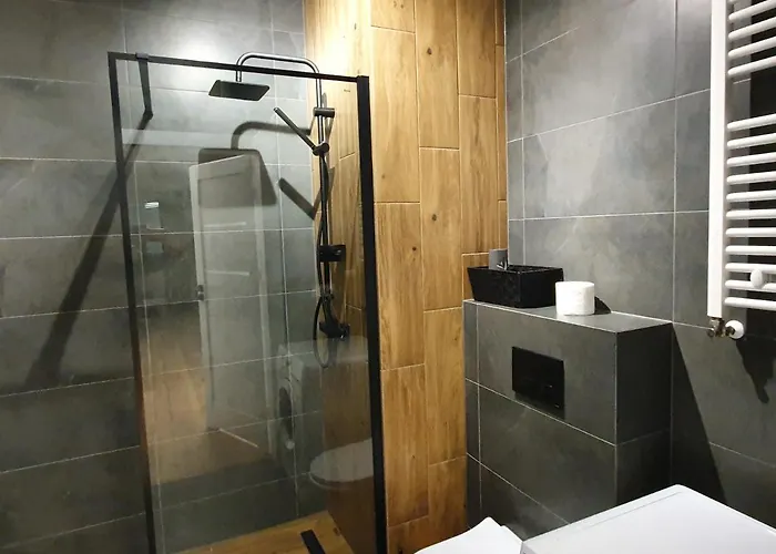 Premium Apartaments-chociszewskiego 6 C Apartment Leszno (Greater Poland)