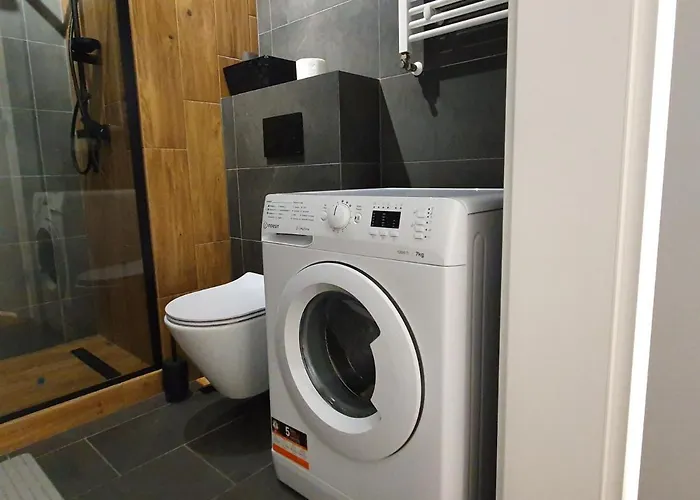 Apartment Premium Apartaments-chociszewskiego 6 C Leszno (Greater Poland)